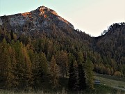 95 Il Pizzo Vescovo adorno di larici colorati d'autunno